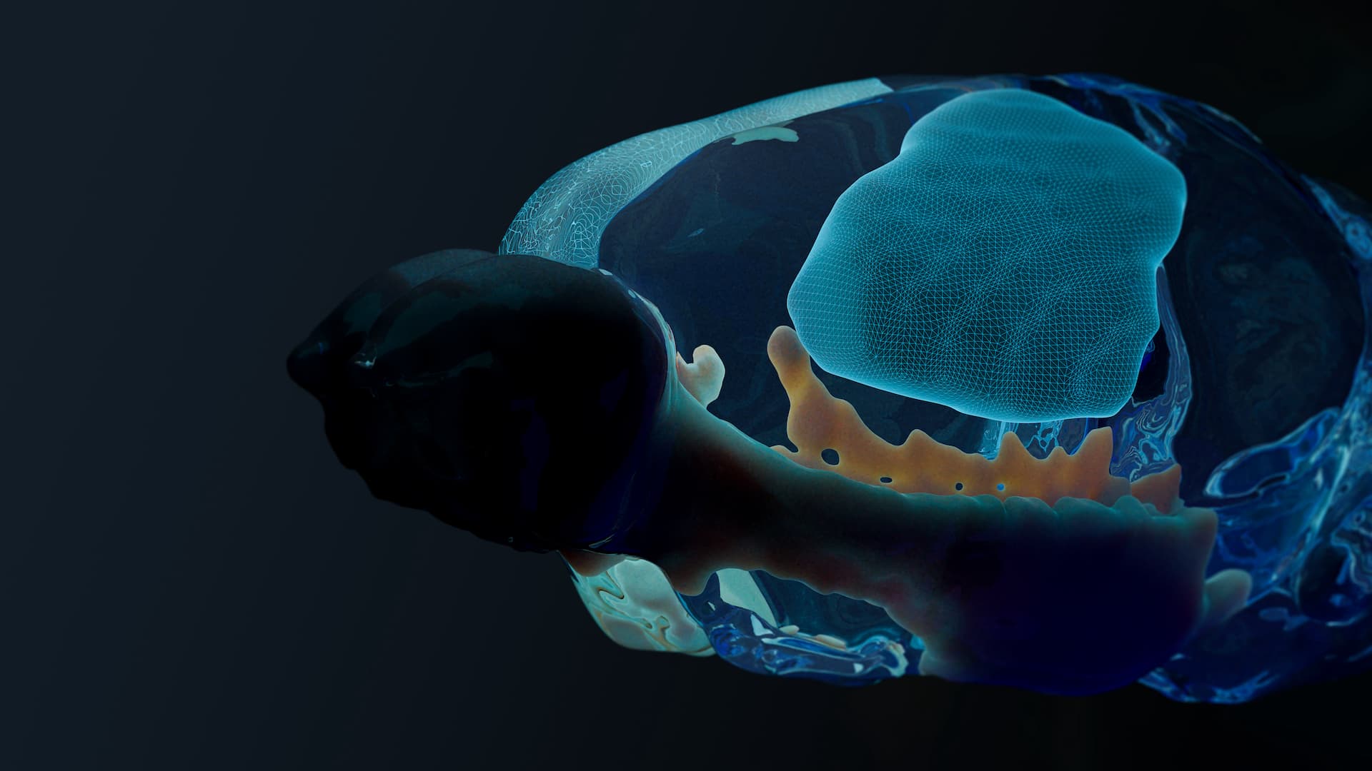 The SSCx atlas: volumetric parcellation of eight interconnected cortical subregions. Image: Blue Brain Project / EPFL.